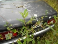 OLD CAR001